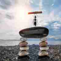 搜​索‌引﻿擎﻿抓‍取‍网‍页​